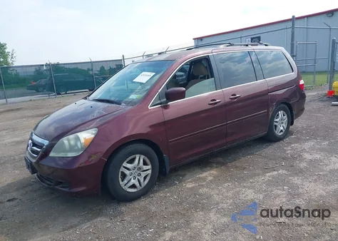 2007 Honda Odyssey Ex from USA, damaged, VIN 5FNRL38447B118071